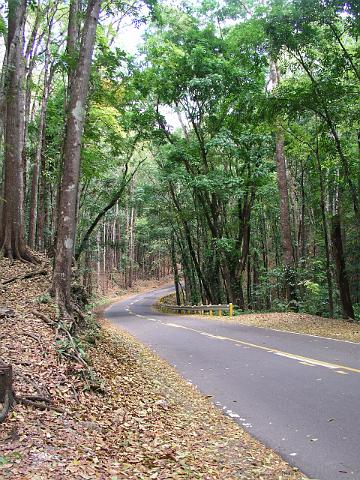 5.Tagesausflug, Forrest made of men 385.JPG